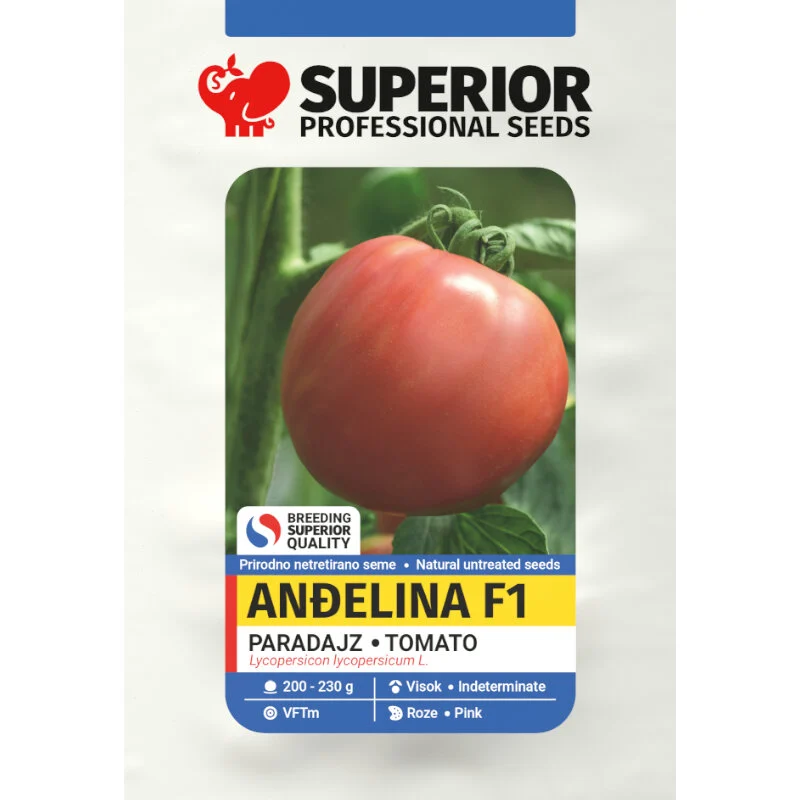 Anđelina F1 — galerija 1