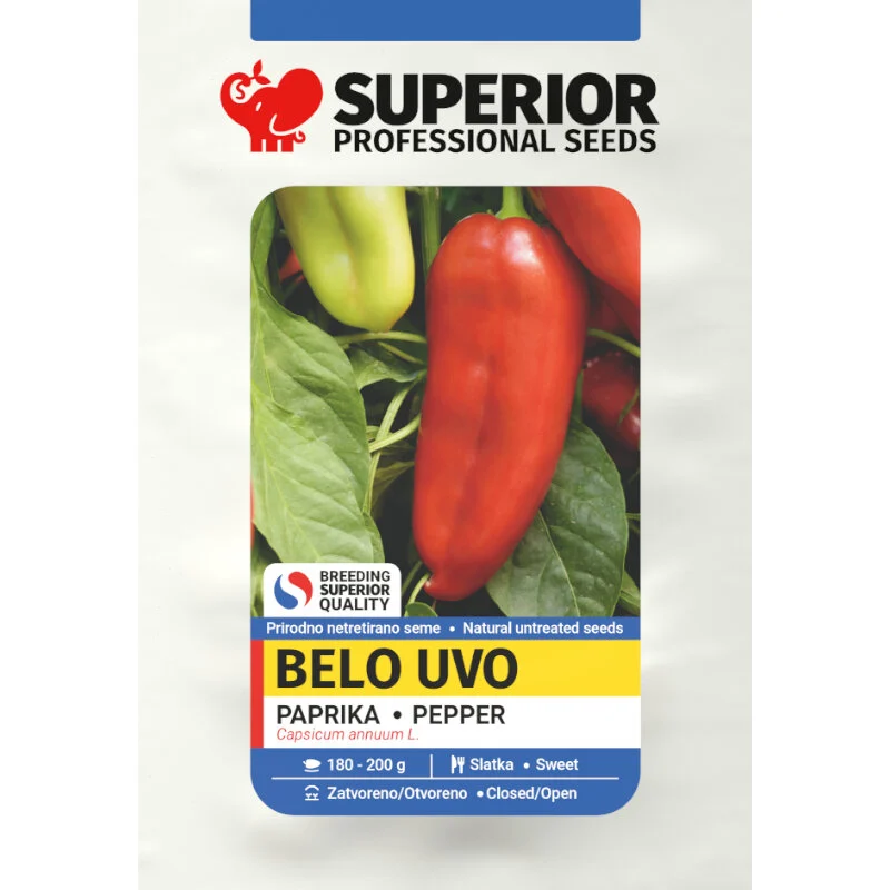 Belo uvo — galerija 1