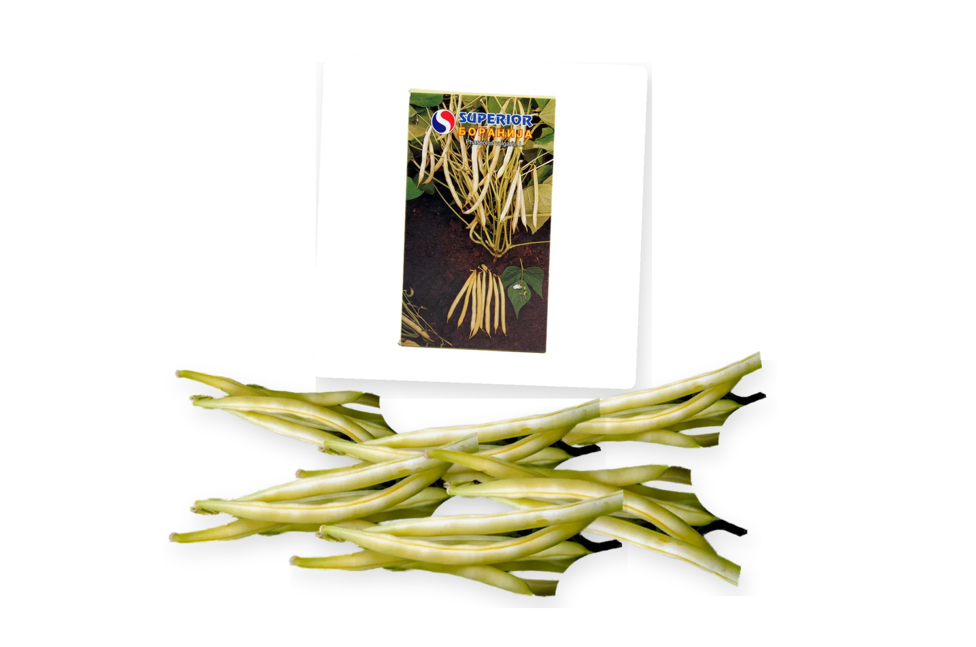 Bergoldeta