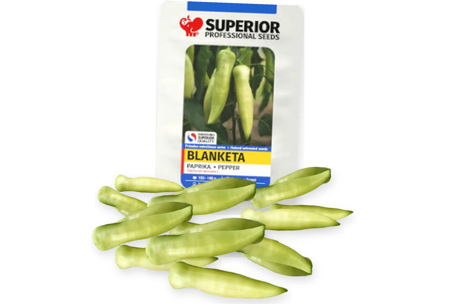 Blanketa