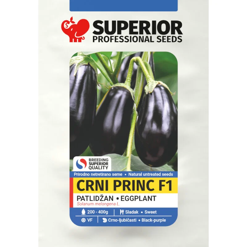 Crni princ F1 — galerija 1