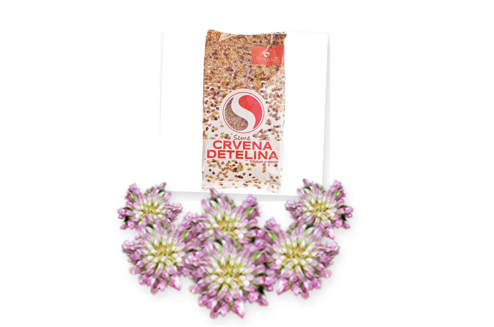 Crvena detelina