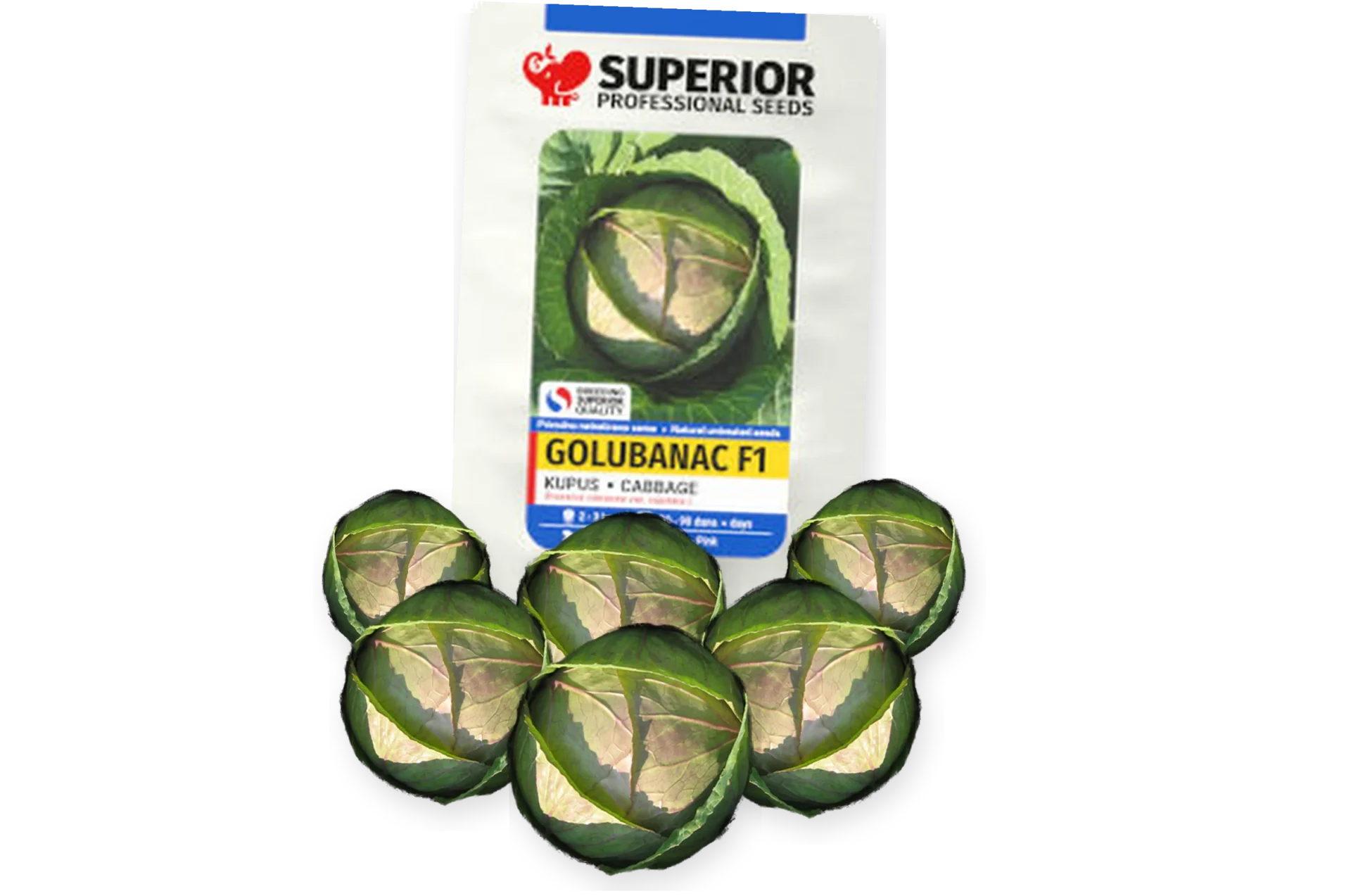 Golubanac F1