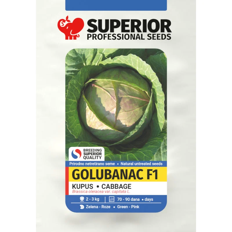Golubanac F1 — galerija 1