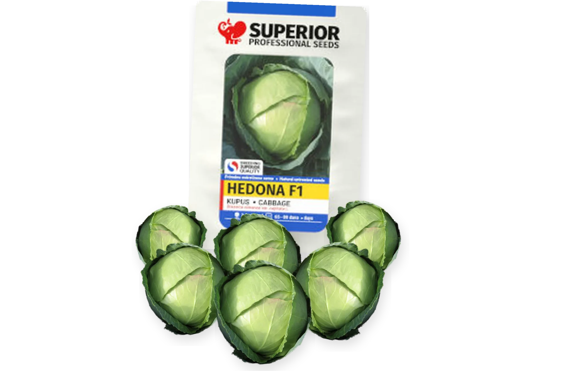 Hedona F1