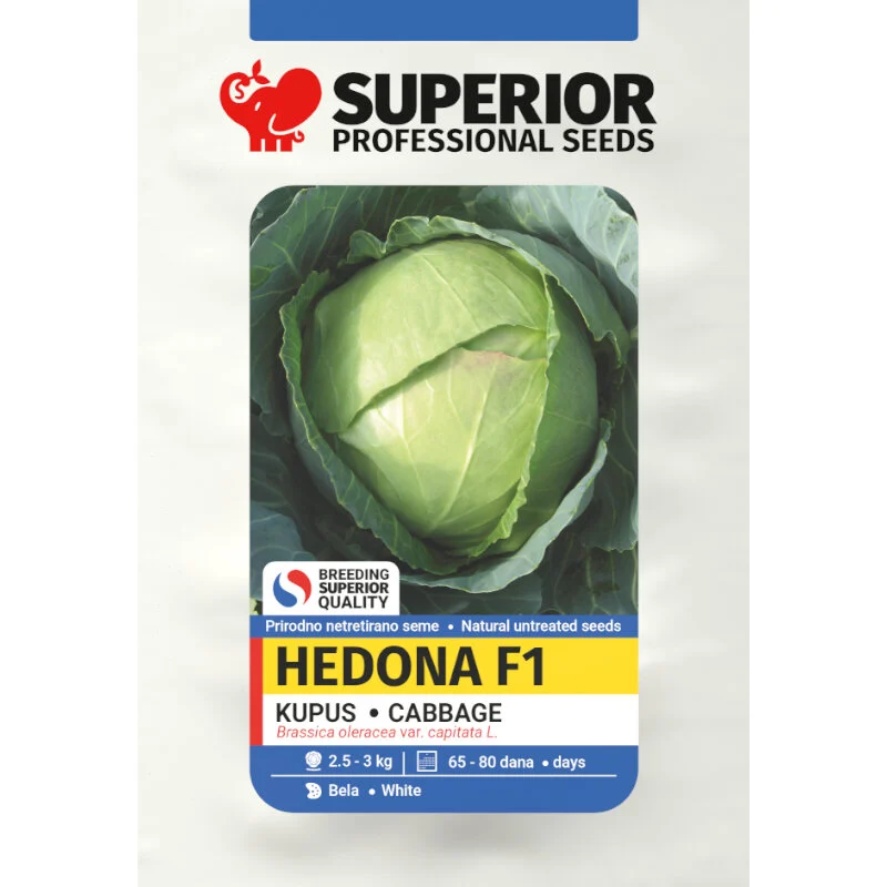 Hedona F1 — galerija 1