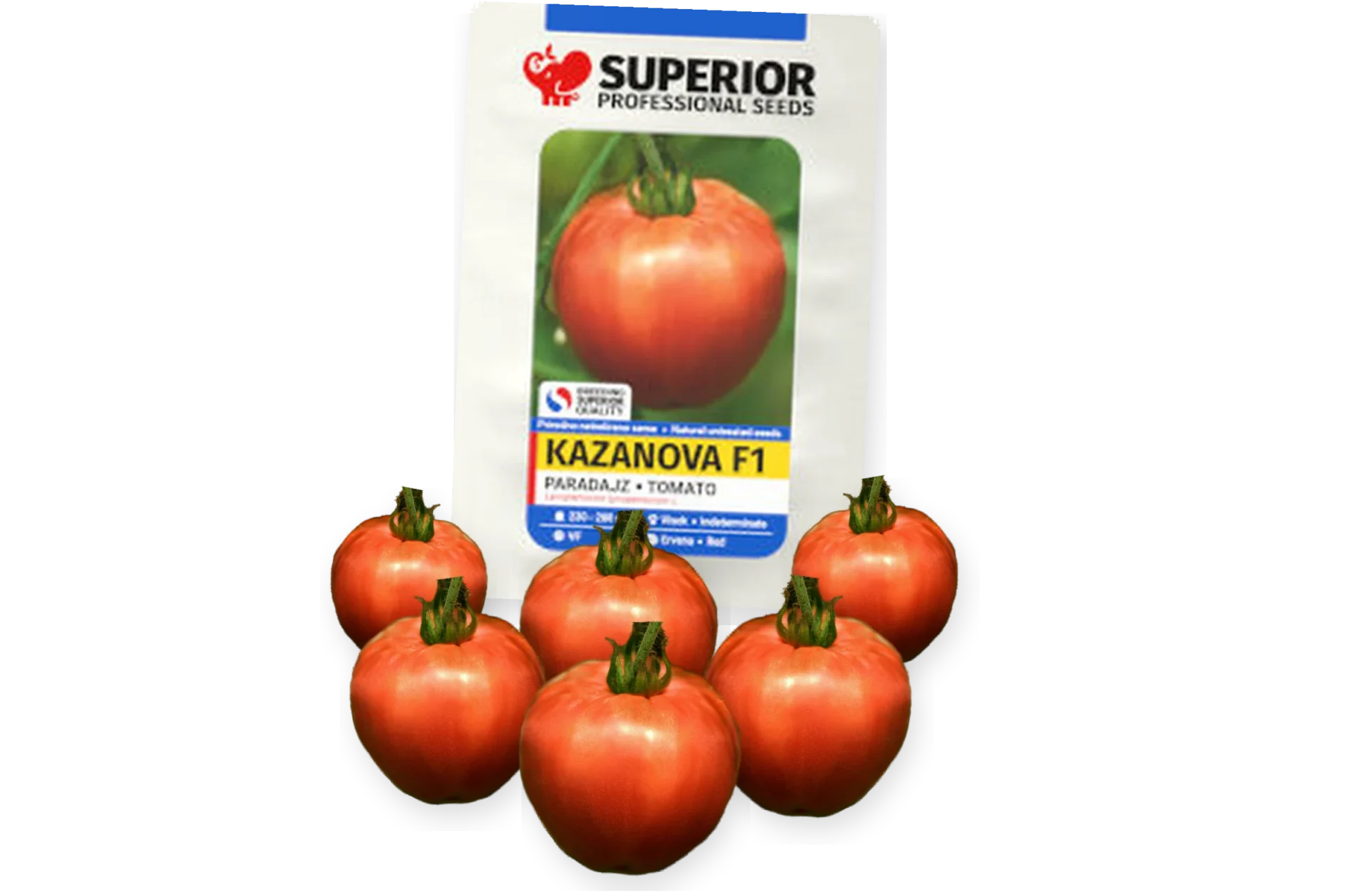 Kazanova F1