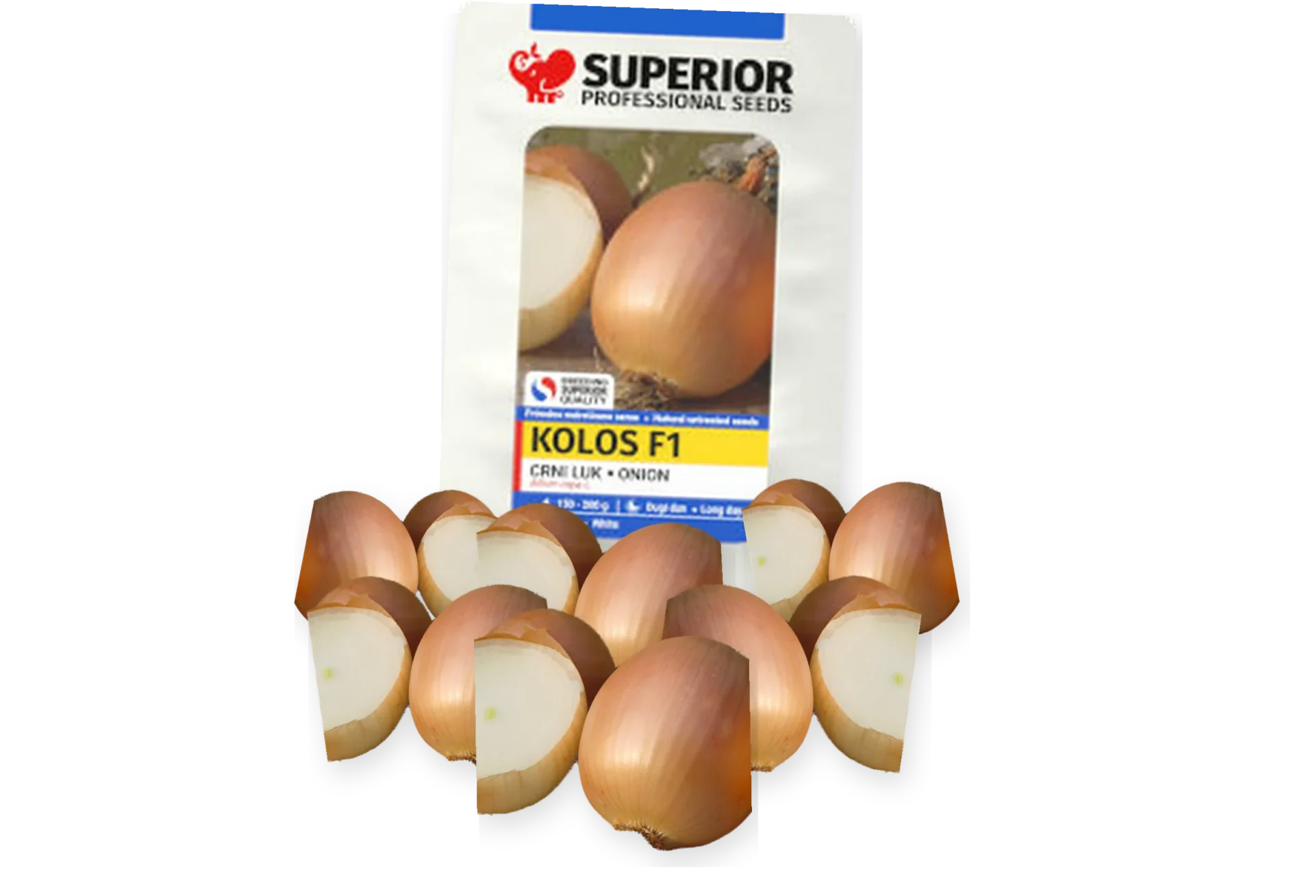 Kolos F1