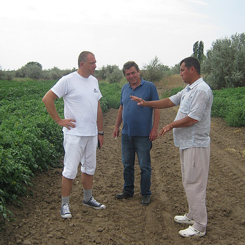 Kontinent Agro
