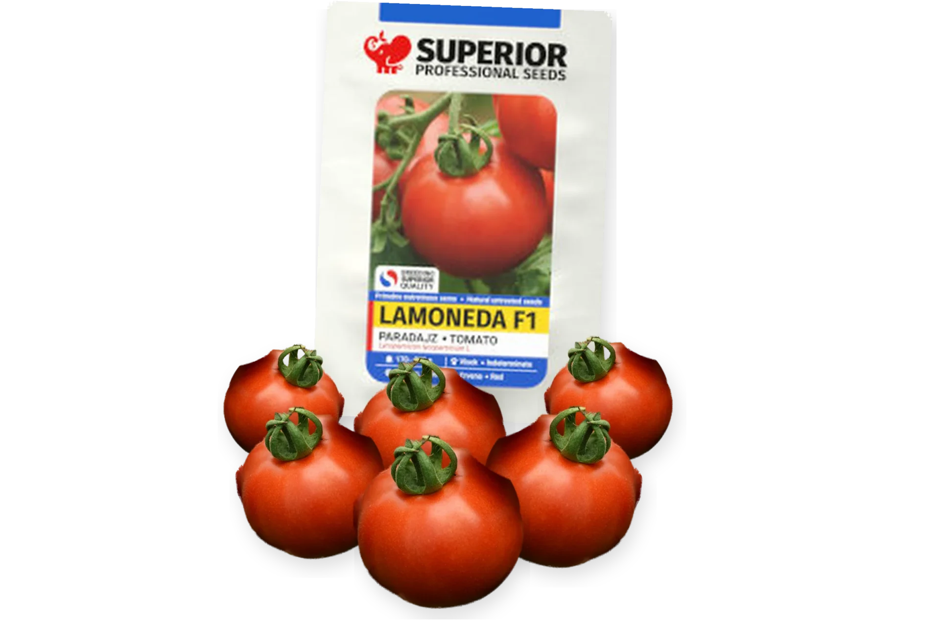 Lamoneda F1