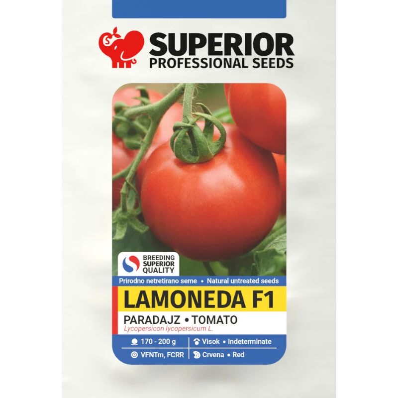 Lamoneda F1 — galerija 1