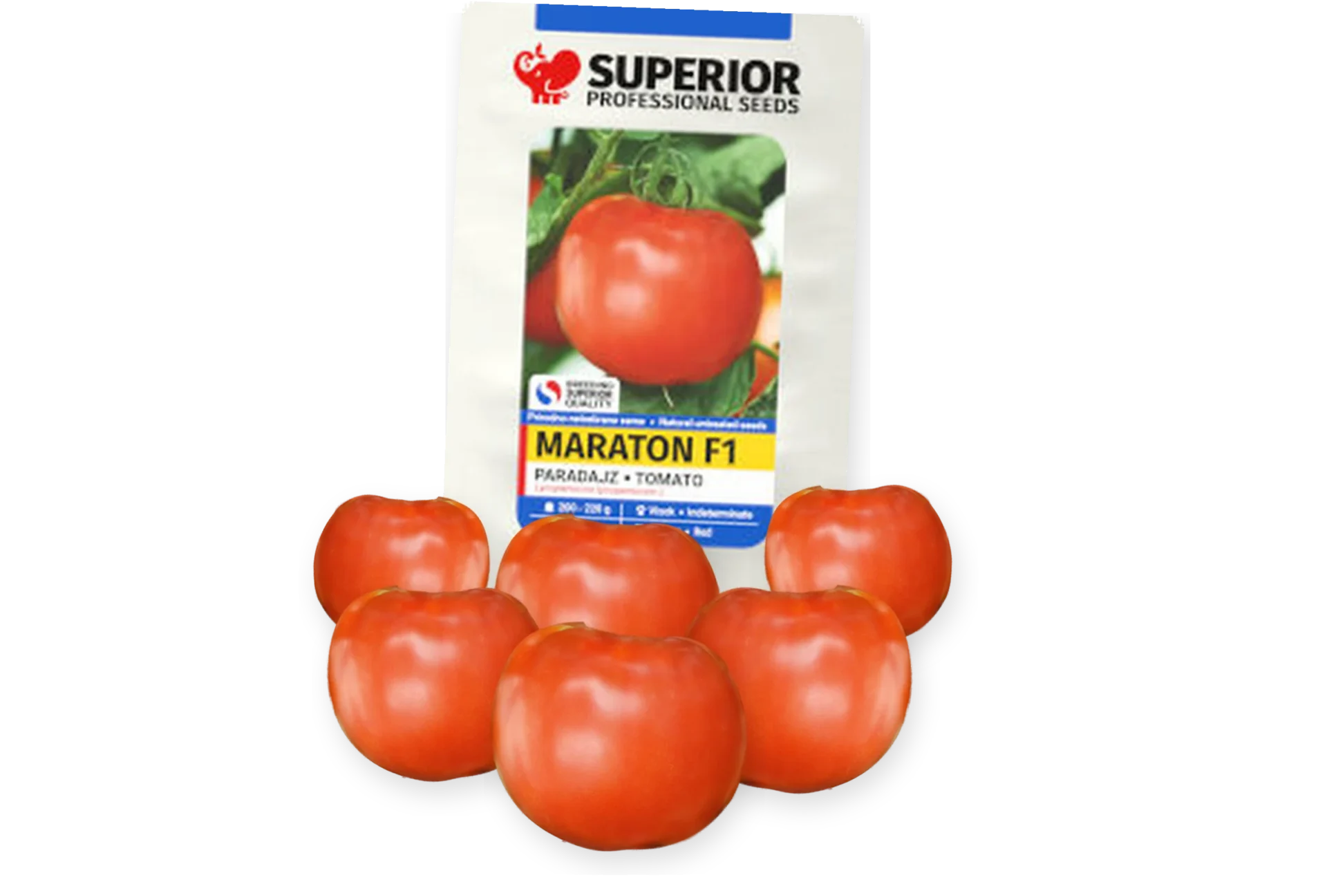 Maraton F1