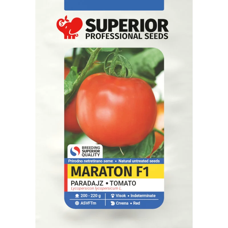 Maraton F1 — galerija 1