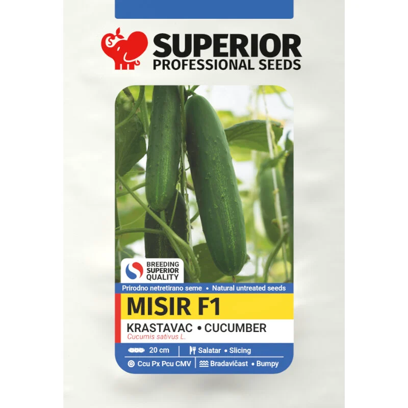 Misir F1 — galerija 1