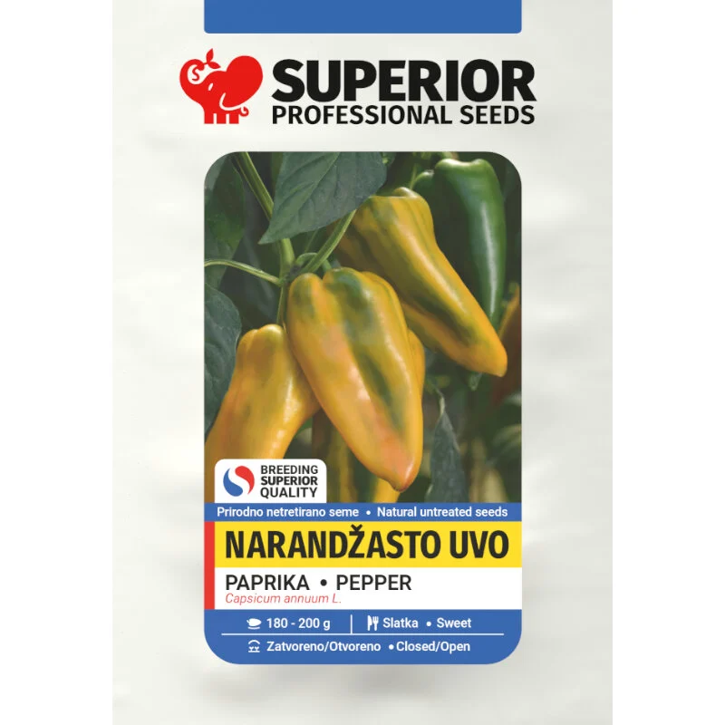 Narandžasto uvo — galerija 1