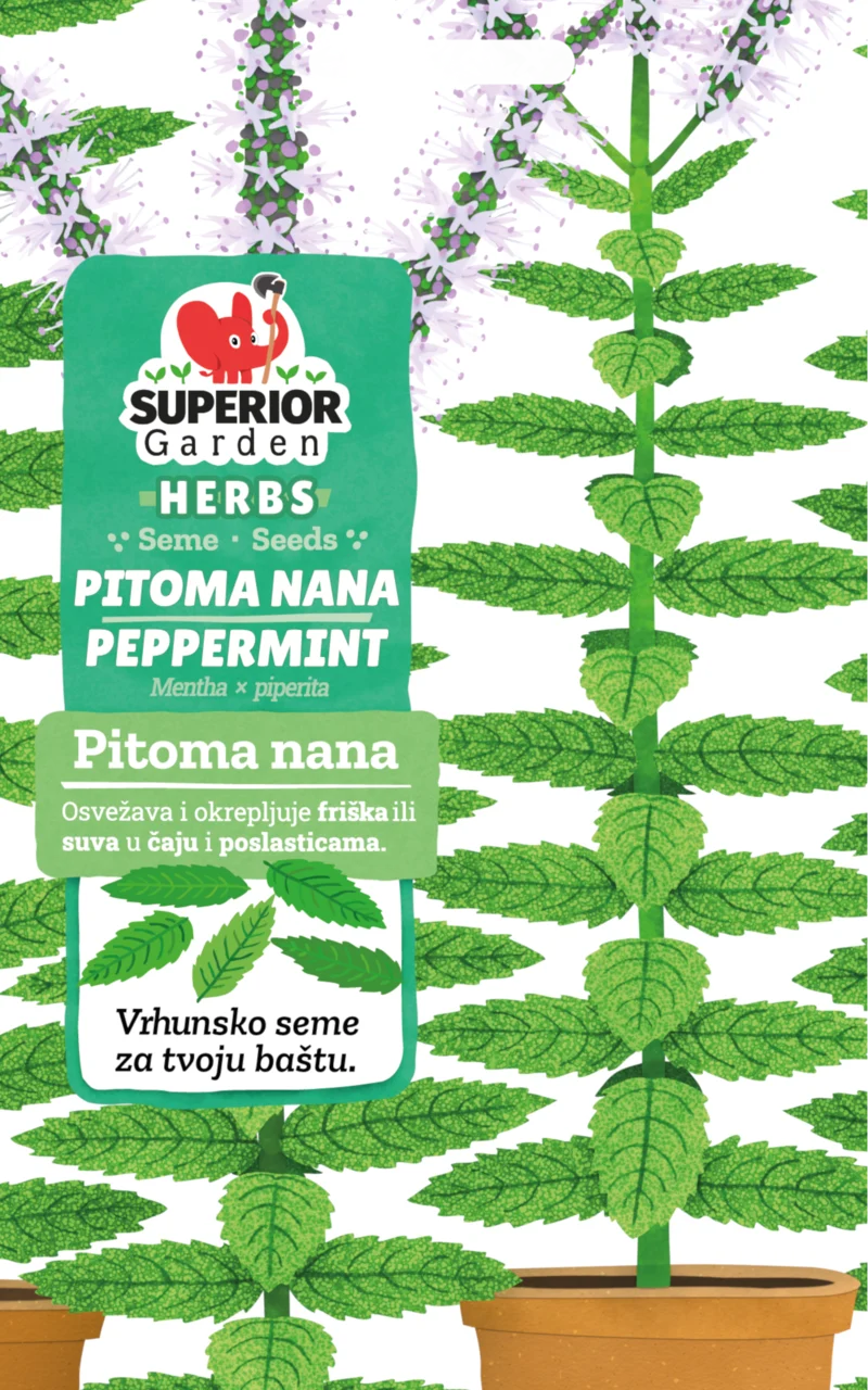 Pitoma nana — galerija 2