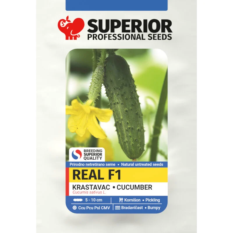 Real F1 — galerija 1