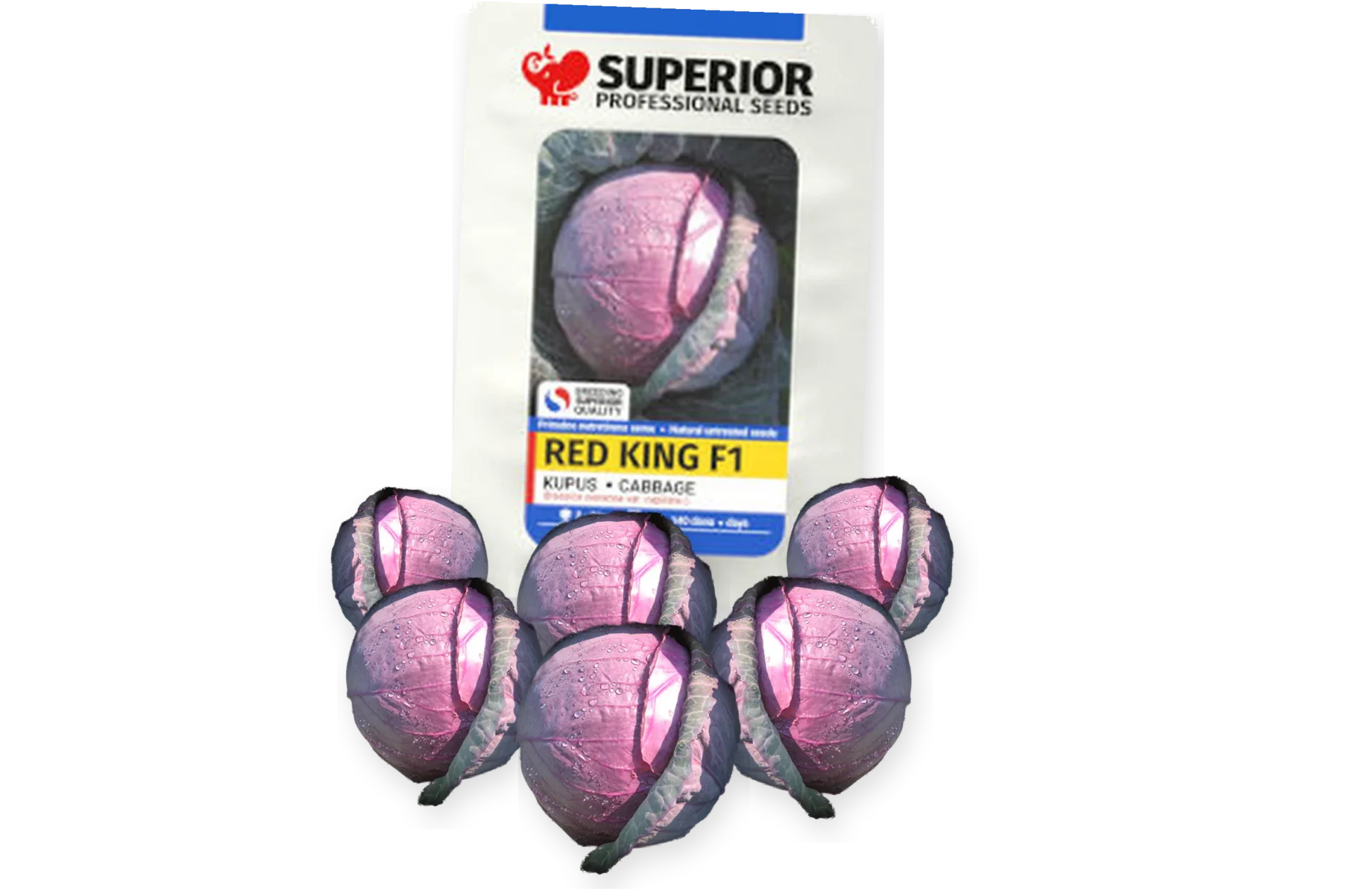 Red king F1