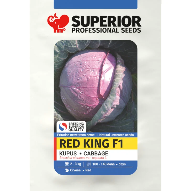 Red king F1 — galerija 1
