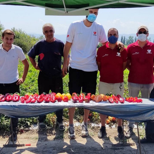 Superior Seeds partneri — Gruzija — fotografija 2