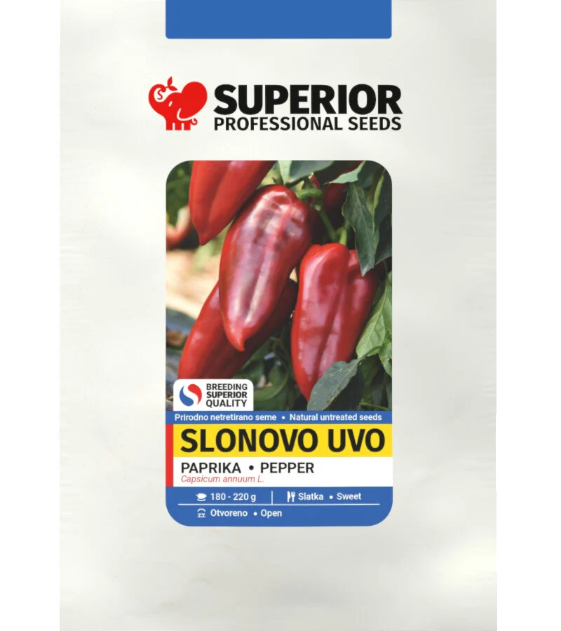 Slonovo uvo — galerija 2