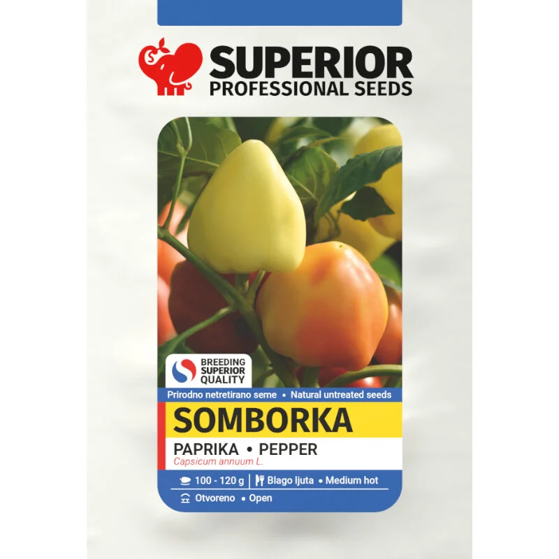 Somborka — galerija 1