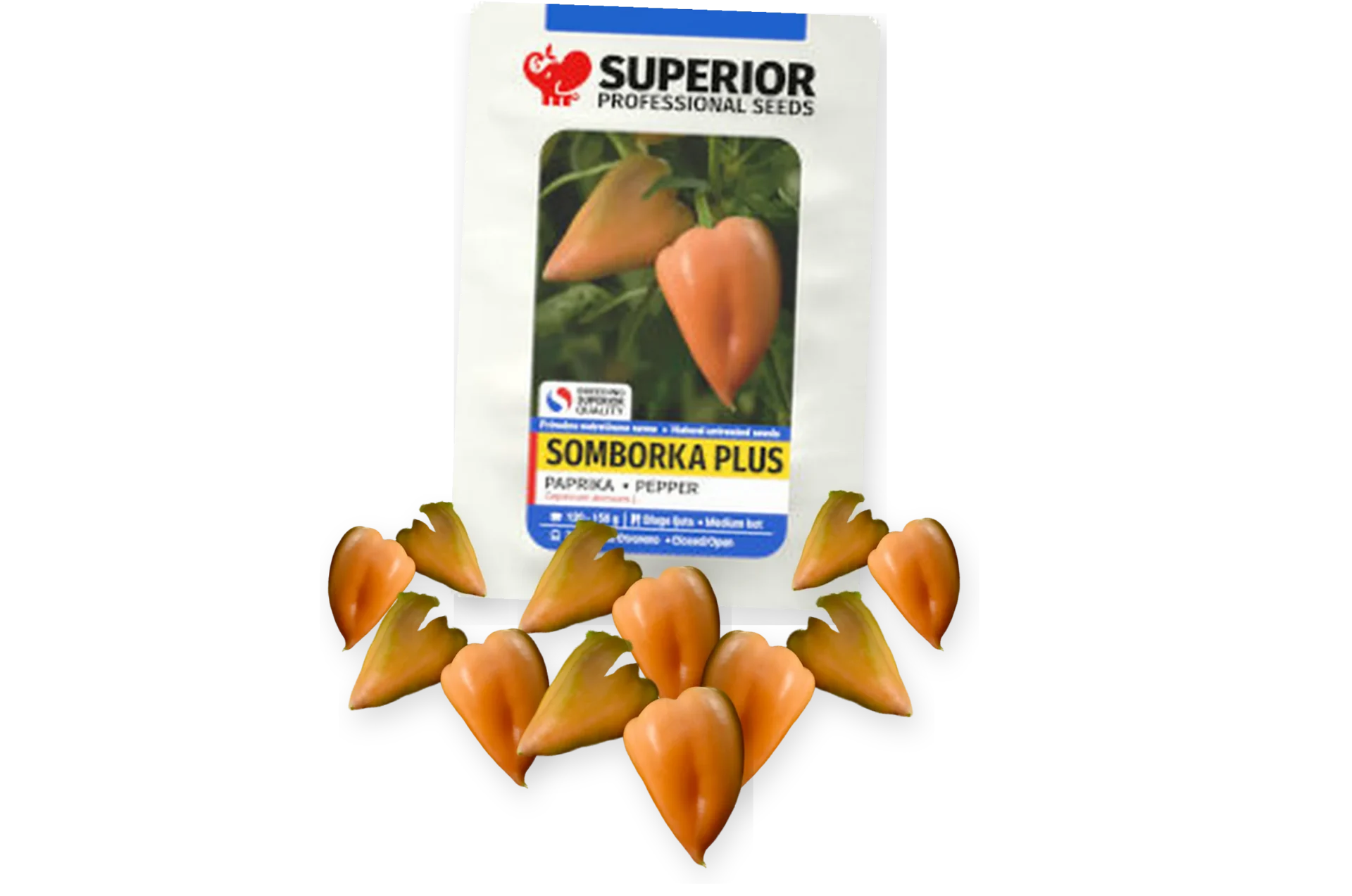 Somborka plus