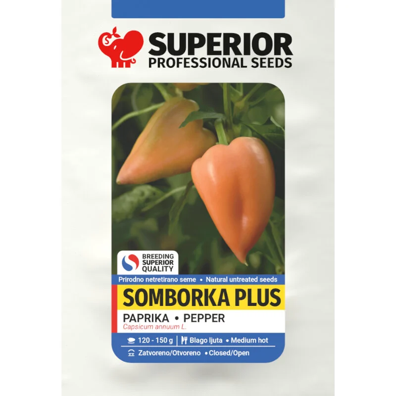 Somborka plus — galerija 1