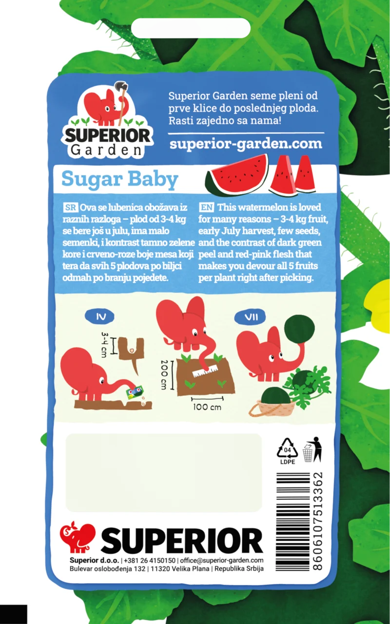 Sugar baby — galerija 3