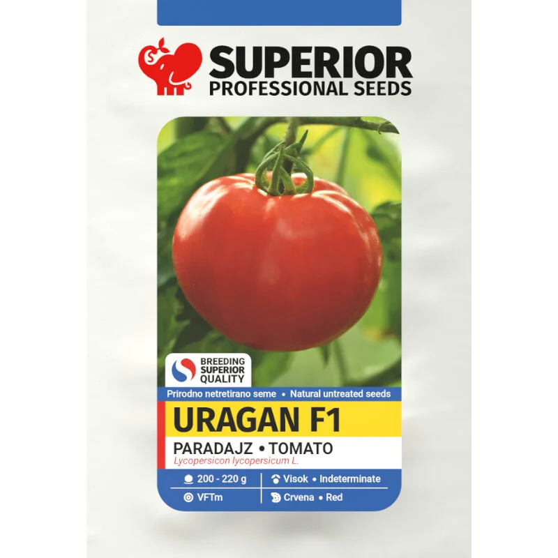 Uragan F1 — galerija 1