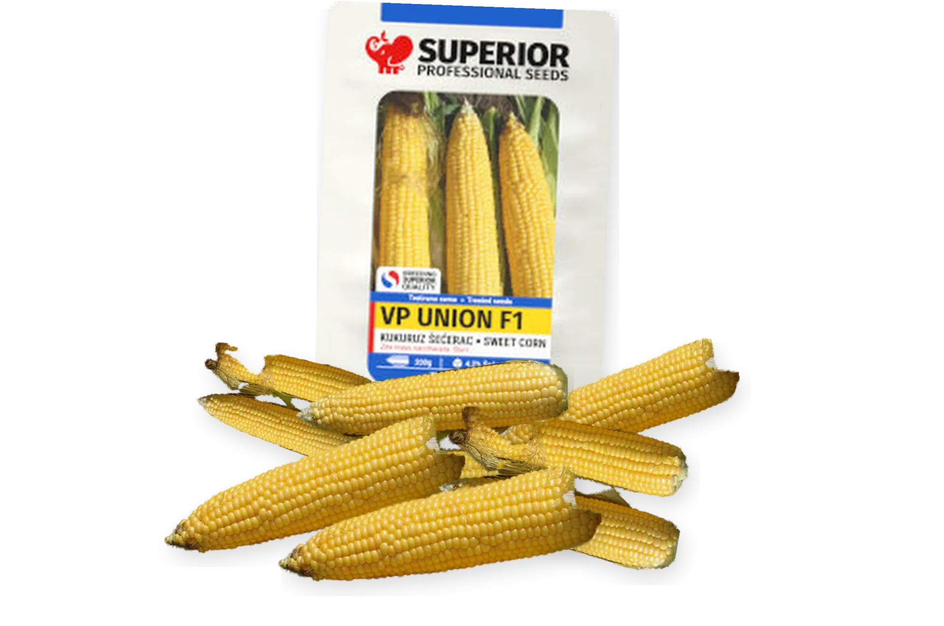 VP Union F1
